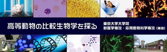 東京大学大学院獣医学専攻・応用動物科学専攻(兼担)