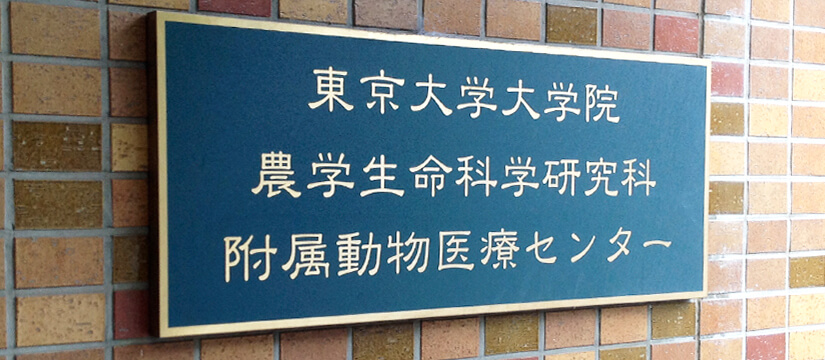 東京大学動物医療センター