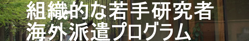 iIbȊwEɂ鍑ۓIȎナ[_[̈琬