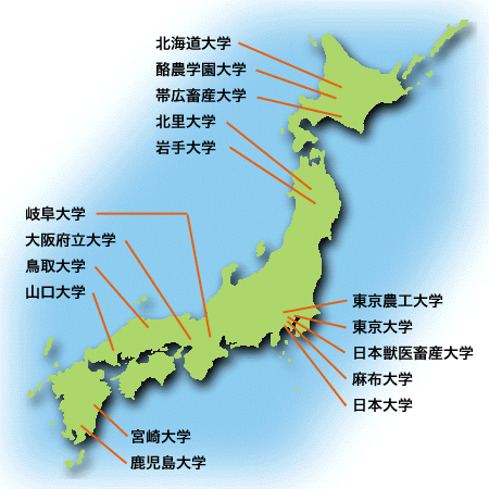 japanvets