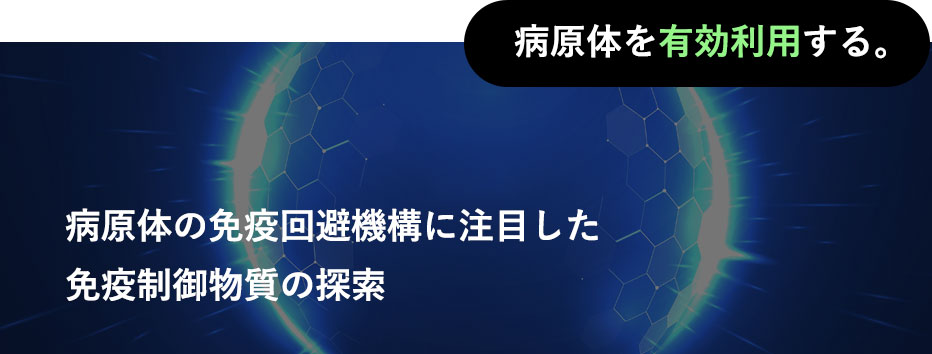 病原体を有効利用する。病原体の免疫回避機構に注目した免疫制御物質の探索