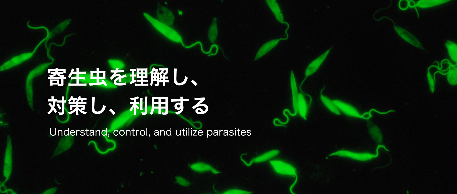 寄生虫を理解し、対策し、利用する