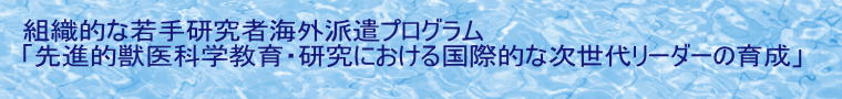 gDIȎ茤ҊCOhvO uiIbȊwEɂ鍑ۓIȎナ[_[̈琬v  