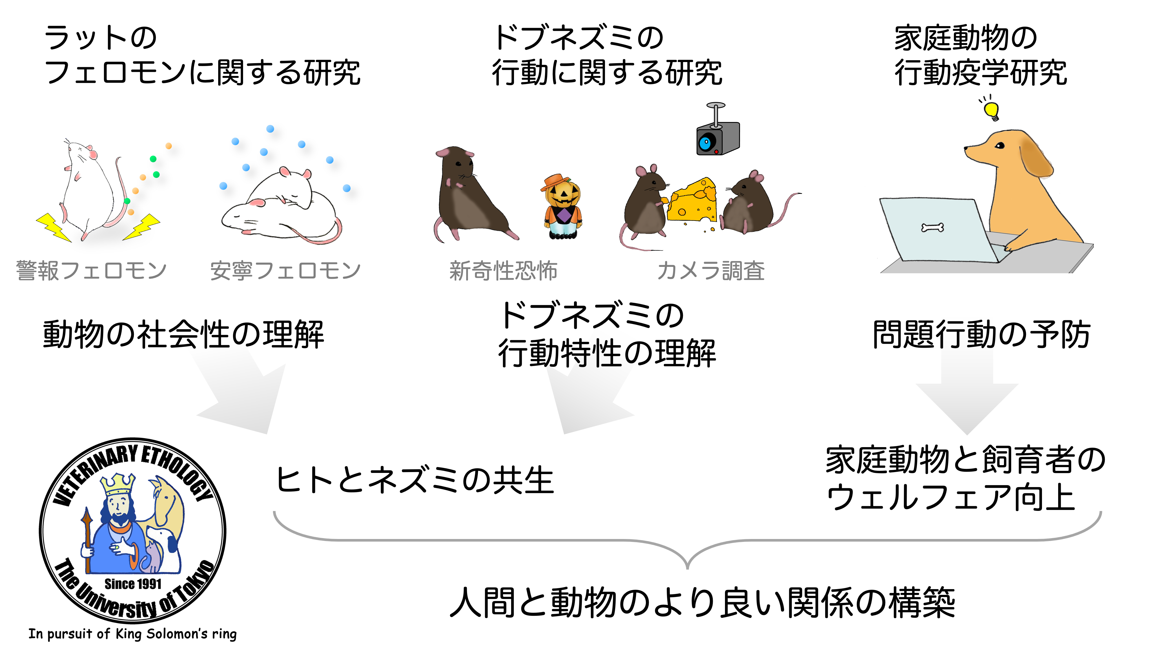 図1の説明