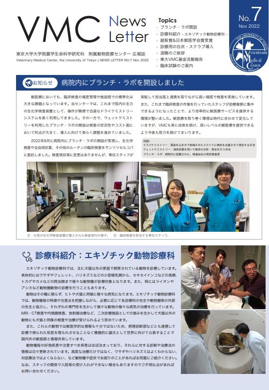 Vol.6
