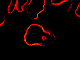 image0000