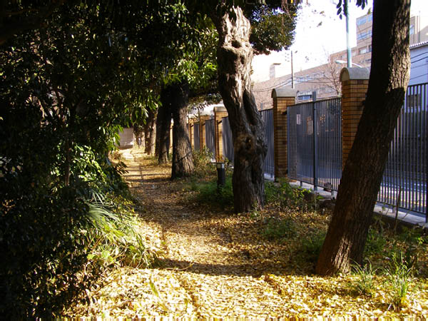 image0007