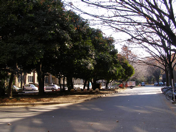 image0010