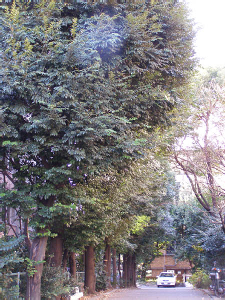 image0016