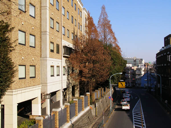 image0017