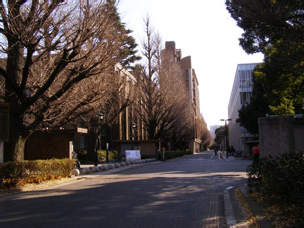 image0019