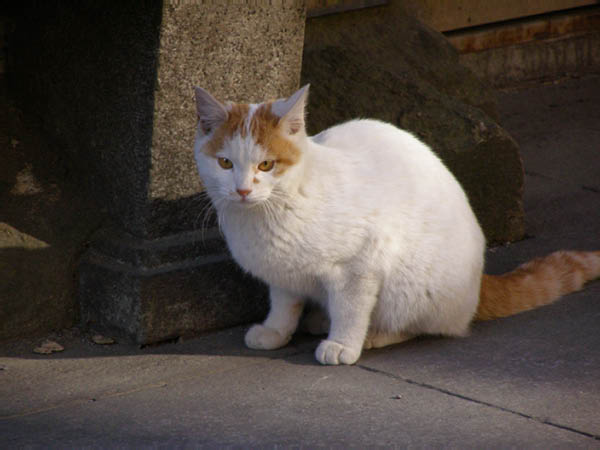 image0024