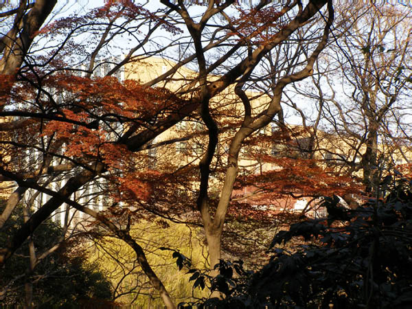 image0030