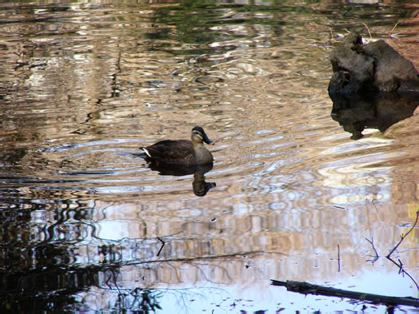 image0034