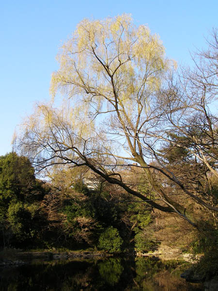 image0037
