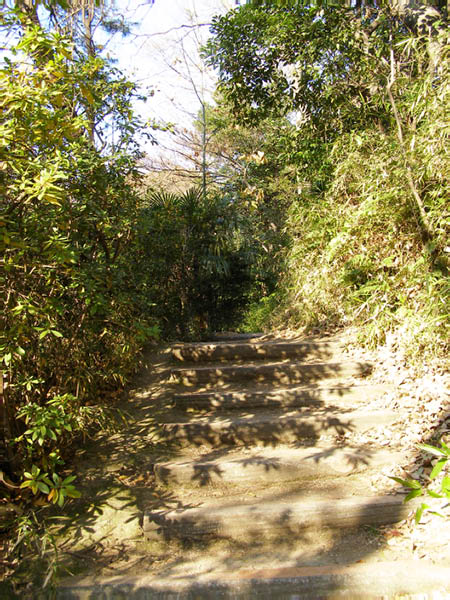 image0038