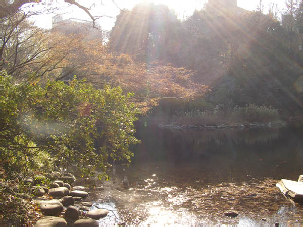 image0039