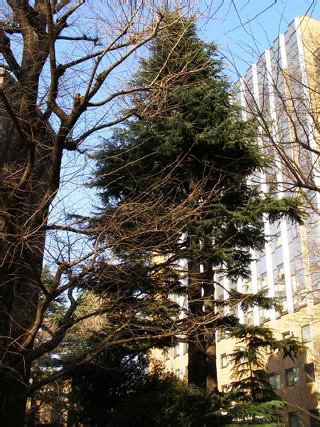 image0044