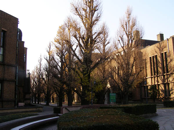image0047