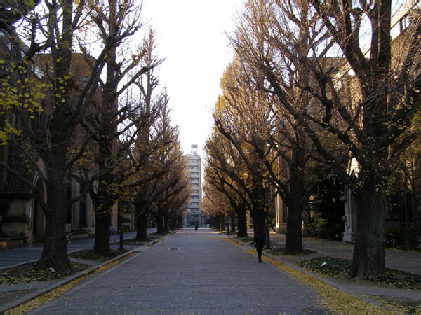 image0051