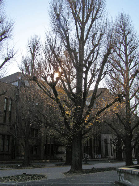 image0053