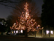 image0000