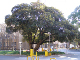 image0009