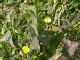 image0015