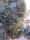 image0016