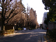 image0019
