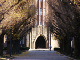 image0021