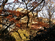 image0030