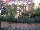 image0031