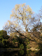image0037