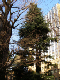 image0044