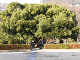 image0048