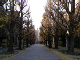 image0051