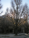 image0053